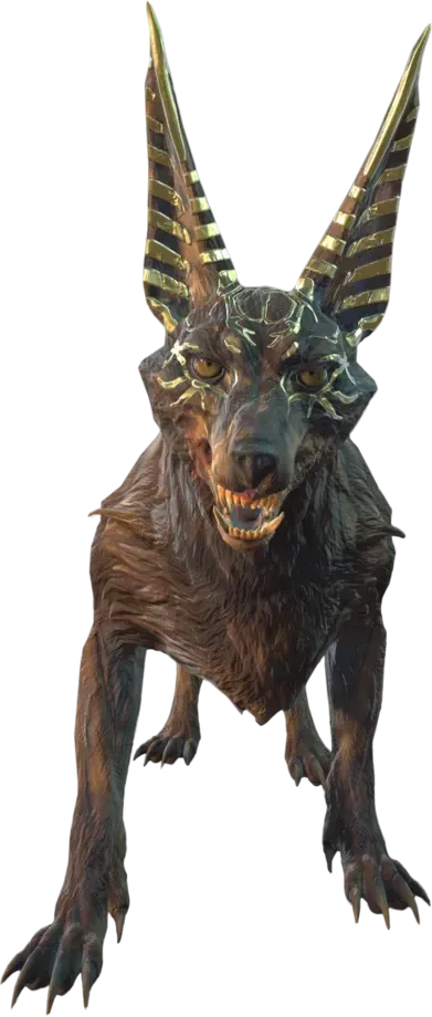 Jackal
